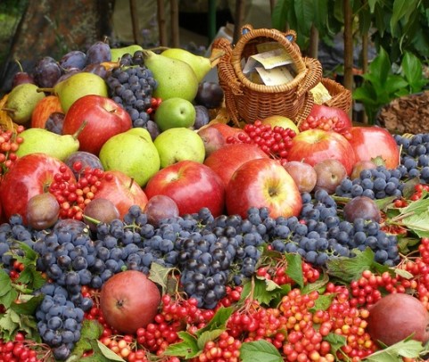 Fructe Bio România